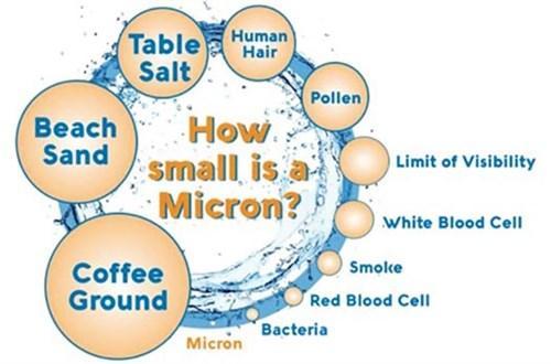 Image comparing a micron to other objects